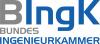 Logo BIngK
